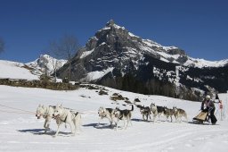 Kandersteg 2011