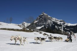 Kandersteg 2011