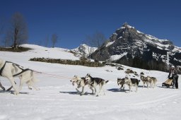 Kandersteg 2011