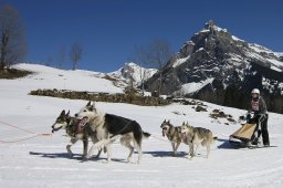 Kandersteg 2011