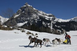 Kandersteg 2011