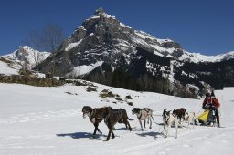 Kandersteg 2011