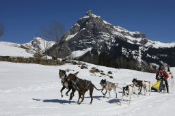 Kandersteg 2011