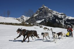 Kandersteg 2011