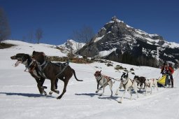 Kandersteg 2011