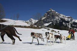 Kandersteg 2011