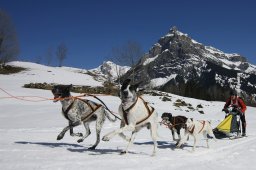 Kandersteg 2011