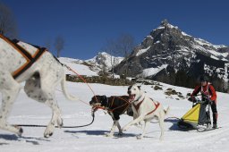 Kandersteg 2011