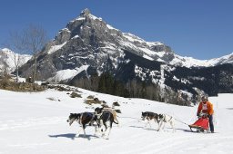 Kandersteg 2011