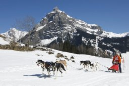 Kandersteg 2011