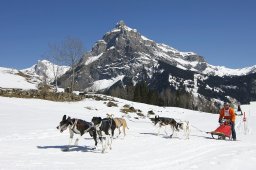 Kandersteg 2011