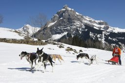 Kandersteg 2011