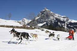 Kandersteg 2011