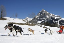 Kandersteg 2011