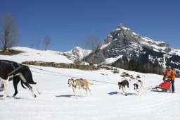 Kandersteg 2011