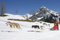 Kandersteg 2011