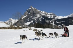 Kandersteg 2011