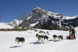 Kandersteg 2011