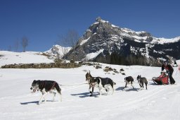 Kandersteg 2011