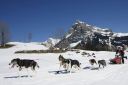 Kandersteg 2011