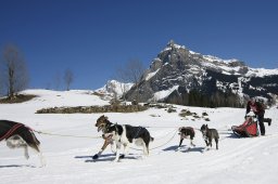 Kandersteg 2011