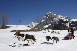 Kandersteg 2011