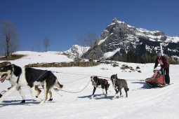 Kandersteg 2011