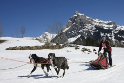 Kandersteg 2011