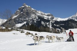 Kandersteg 2011