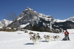 Kandersteg 2011