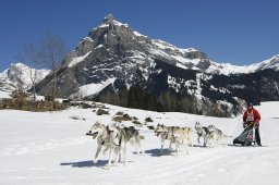 Kandersteg 2011