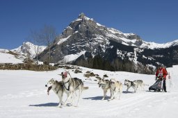 Kandersteg 2011