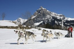 Kandersteg 2011