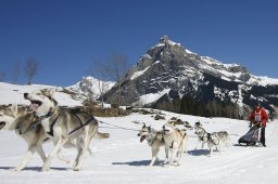 Kandersteg 2011