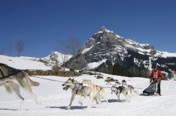 Kandersteg 2011