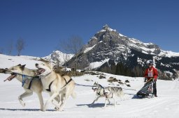 Kandersteg 2011