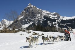 Kandersteg 2011