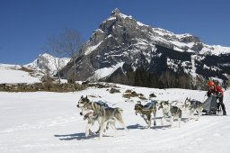 Kandersteg 2011