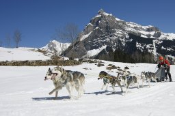 Kandersteg 2011