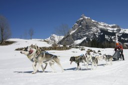 Kandersteg 2011