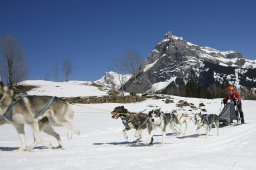 Kandersteg 2011