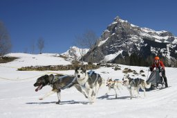 Kandersteg 2011