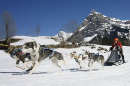 Kandersteg 2011