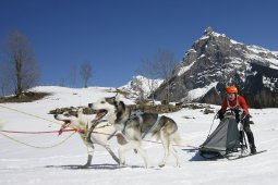 Kandersteg 2011