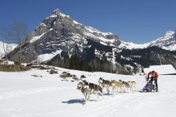 Kandersteg 2011