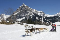 Kandersteg 2011