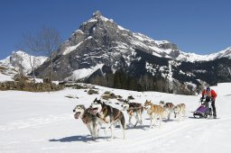 Kandersteg 2011