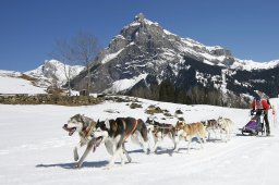 Kandersteg 2011