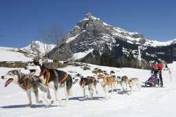 Kandersteg 2011