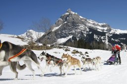 Kandersteg 2011